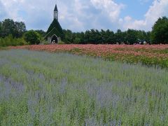 夏のひるがの高原　