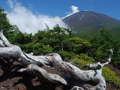 涼しさを求めて富士山奥庭ハイク。