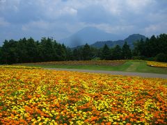 大山＆とっとり花回廊