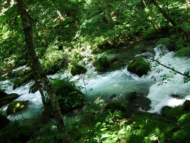 二日目の宿は十和田湖畔にある緑水閣というお宿。<br /><br />ここに着いたのはもう夕飯時を過ぎてしまっていました。<br />でもすぐに食べられるように用意をしてくれて、<br />北山崎の疲れをすっかり癒してくれました！<br /><br />それから朝はちゃりんこを借りて湖畔をお散歩。<br /><br />朝食を済ませていざ奥入瀬へ！<br /><br />ではごゆっくりご覧下さい！