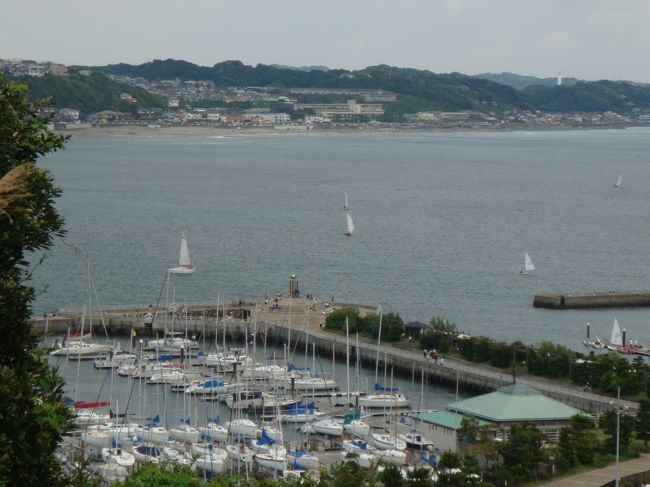 この日は、ヨットで逗子から江ノ島に入港。<br />いつもお昼に寄らせていただいている「海花亭」を目指します。<br />