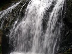 鳴滝森林公園で滝を観てマイナスイオンを浴びる。
