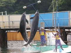 2008夏青春１８切符＆まわりゃんせのたび　その３　鳥羽（鳥羽水族館・イルカ島）