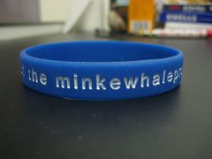 姉を訪ねてケアンズ?　～ミンククジラクルーズ　後編～