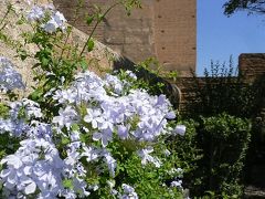 スペイン豊穣編