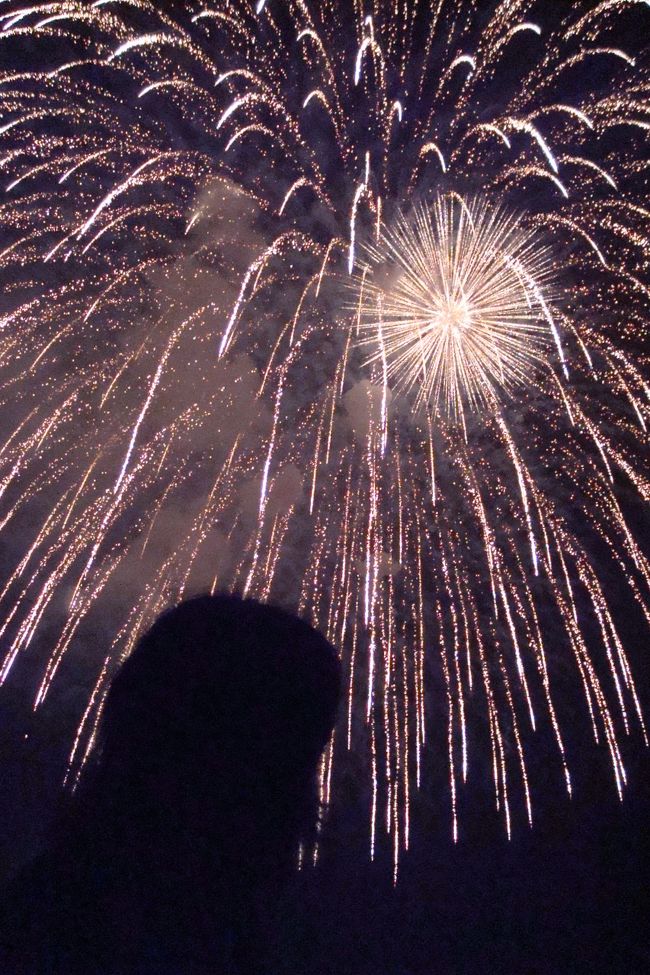 　中越地震からまもなく４年、震度７の震源地の川口町の復興祭に出かけてきました。<br /><br />　街中は全壊した家屋が再建され少しずつ活気を取り戻してきてはいましたが、空き地や耕されていない田畑もありました。<br /><br />　しかし川口（http://www.town.kawaguchi.niigata.jp/）まつりが行われるまで復興したすがたに接しられました。