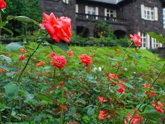 旧古河庭園鮮やかな薔薇の風景