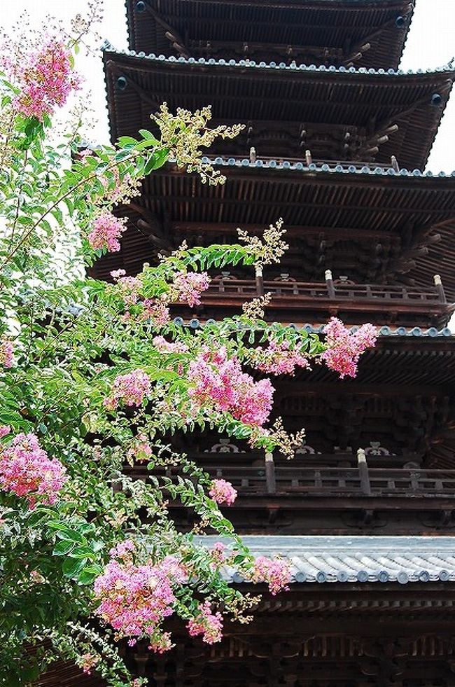 お遍路珍道中も8回目になり、そろそろ終わりも見えてきました。<br />冬に行った時には、雪の為に道が通行止めになって行くことができなかった第60番・横峰寺にもお参りすることができました。<br /><br />お遍路を始めて、早1年8ヵ月程。<br />真夏のお遍路は初めてでしたが、猛暑の中の道中はかなりきついものでした。<br />車での移動とはいえ、駐車場から歩くお寺も多く、汗だくになり、体力を消耗しました…。<br />暑くてきついので、夏はお遍路のシーズンではないようで、人は少なかったです。<br /><br />表紙の写真は、第70番・本山寺の五重塔。<br />サルスベリがきれいでした。