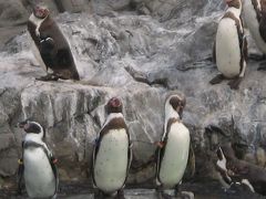 葛西臨海水族館