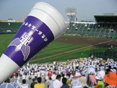 2008夏　高校野球in甲子園