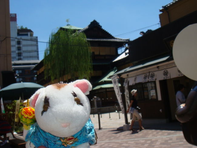 仕事に追われると〜ちゃん。<br />いつものハワイにも行けません(涙)<br /><br />やっと取った二日の休み。<br />のんびり出来て、都会でもある道後へ。<br />1月にも来たのですが、お気に入りです。<br /><br />おともだちの「すね七」くんも一緒です。
