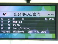 行きは神戸空港でも、やはり帰りは便利な伊丹空港から!!