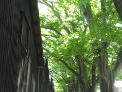 −−【山形】?上方文化が栄えた港町・酒井へ