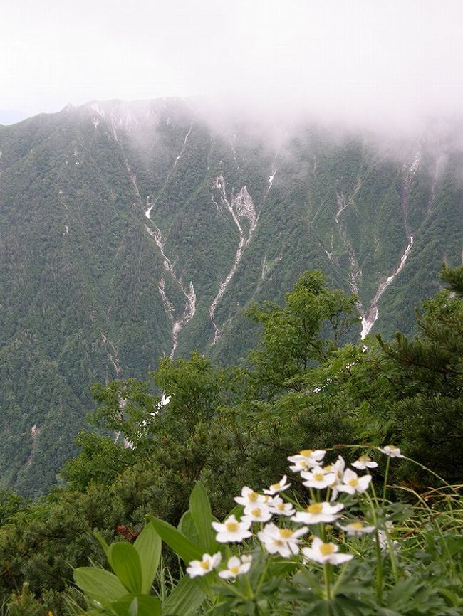 今年の夏山は中央アルプスの木曽駒が岳・宝剣岳・熊沢岳・東川岳・空木岳の縦走を計画いたしました。<br /><br />しかし、２泊３日の日程は雷雨と霧と風に悩まされ合羽の離せない山行になってしまいました。<br />唯一の救いは高山植物か多く楽しませてくれたことです。<br />岩稜の連続で雨も手伝ってスリル満点の山行でした。<br />稜線では下界の猛暑と違い１０度前後の気温で合羽を着ていても寒いくらいの気温でした。<br /><br />?しらび平散策<br />?千畳敷カールから宝剣山荘<br />?木曾駒ケ岳から濁沢大峰<br />?熊沢岳から木曾殿山荘<br />?空木岳から菅の台<br />に分けてＵＰ予定します。<br /><br />今回は?熊沢岳から木曾殿山荘までです。<br /><br /><br />工事中<br />