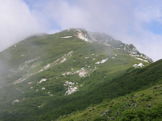 今年の夏山は中央アルプスの木曽駒が岳・宝剣岳・熊沢岳・東川岳・空木岳の縦走を計画いたしました。<br /><br />しかし、２泊３日の日程は雷雨と霧と風に悩まされ合羽の離せない山行になってしまいました。<br />唯一の救いは高山植物か多く楽しませてくれたことです。<br />岩稜の連続で雨も手伝ってスリル満点の山行でした。<br />稜線では下界の猛暑と違い１０度前後の気温で合羽を着ていても寒いくらいの気温でした。<br /><br />?しらび平散策<br />?千畳敷カールから宝剣山荘<br />?木曾駒ケ岳から濁沢大峰<br />?熊沢岳から木曾殿山荘<br />?空木岳から菅の台<br />に分けてＵＰ予定します。<br /><br />今回は?空木岳から菅の台までです。<br /><br /><br /><br />