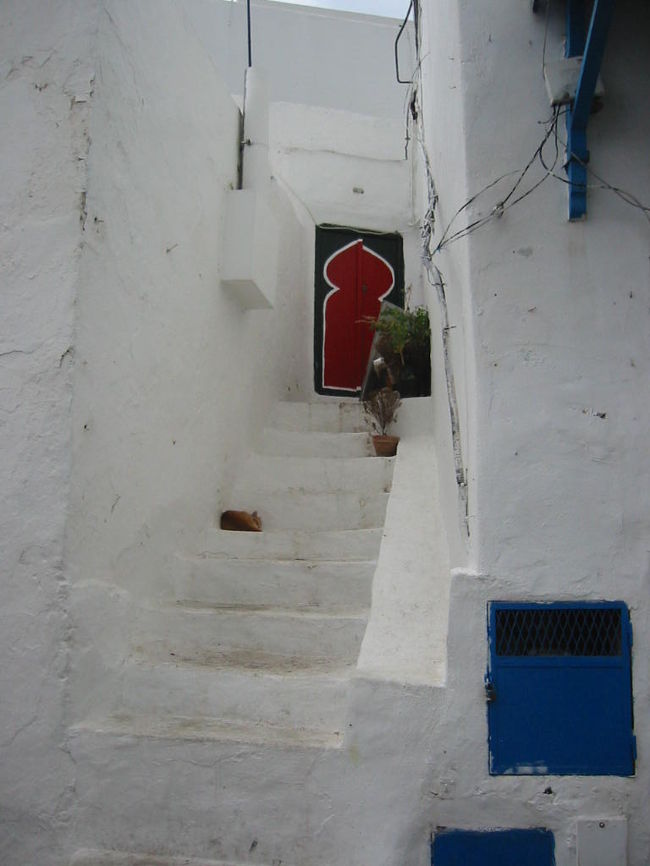 ジェノバ→ナポリ→パレルモ→チュニジア→マヨルカ島→バルセロナ→マルセイユ<br /><br />チュニジア（チュニス）のシディブサイド。<br />真っ白な世界にブルーの扉が鮮やかに映え、町にあるアラビア文字が妙に美しく異国情緒漂うところだった。<br /><br />ここチュニスはチュニジア共和国の首都であり、<br />もちろんイスラム教が国教だが、それも比較的戒律は緩やかで、女性もスカーフをかぶらず西洋的なファッションが多く見られる。アルコールを飲んだり、ラダマーンの時でも食事する人がいるらしく、なかなかおもしろい所のようだ。<br />だから、観光地として人気があるのだろう〜。<br />もう一度行ってみたい所。