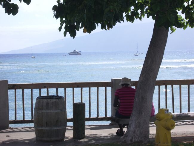 2008年8月 ハワイマウイ島　コンドミニアム（マウイカマオレ）へ7泊9日で行った際の旅行記です。