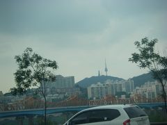 韓国ソウルの家族旅行2008.08 (12)　帰国へ