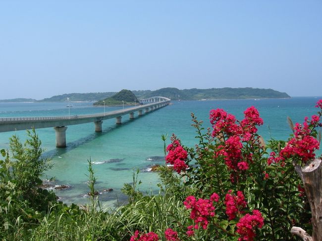 美しい海と海上ドライブを楽しみたくて、角島大橋へ車を走らせました。
