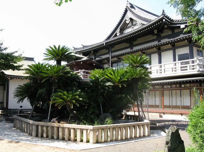 永禄5年(1562年)の創設。境内の大蘇鉄は、織田信長の所望で安土城に移植されましたが、毎夜「堺に帰りたい」と泣いたため、再び堺へ返されたという伝説の樹で、国指定の天然記念物です。日本で唯一の蘇鉄の枯山水があります。<br />また、慶応4年(1868年)の堺事件の土佐十一烈士の切腹の地としても有名です。11人は北隣の宝珠院に眠っています。