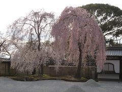 京都