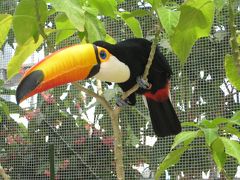 神戸花鳥園・ポートピアホテル