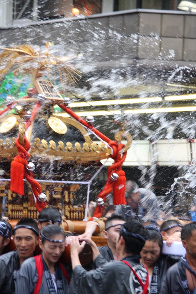 深川・富岡八幡宮例大祭の各町神輿連合渡御を楽しんできました。<br />祭礼は、毎年８月１５日を中心に行われ、深川八幡祭、深川祭とも呼ばれ、江戸時代から、赤坂の日枝神社の山王祭、神田明神の神田祭と並ぶ「江戸三大祭」の一に数えられています。<br />今年は３年に一度の本祭りに当たり、１６日には八幡宮の御鳳輦が渡御しました。<br />この日は、神輿５４基が勢揃いする連合渡御が行われ、各町の神輿が江東区から中央区にかけて約１０Ｋｍの道程を担がれます。<br />神輿のお清めと担ぎ手の暑さ対策のために神輿に水がかけられることから、「水かけ祭り」とも呼ばれます。<br /><br />この日の気温は約２３℃と涼しく、見物する方にとっては有難かったのですが、水をかけられた人は寒かったのではないでしょうか。