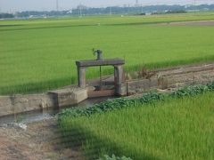 両毛線の旅（大平下−思川−小山）