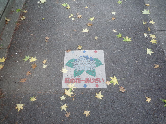 <br />　〜千種区　あじさいロード〜　<br /><br />名古屋市の千種区には散歩道が整備されており、長・中・短と体力に応じてコース設定されてます。その千種公園を起点とした中距離を歩いて来ました。