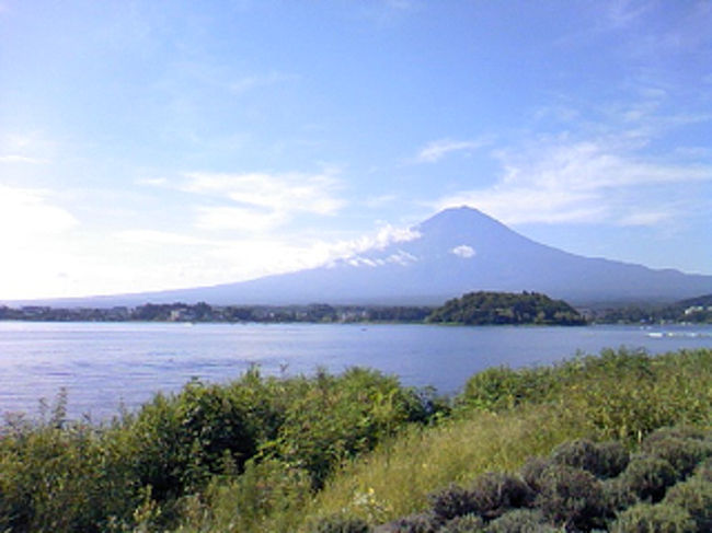 早朝の河口湖は静かで清々しくて気持ちいい〜<br />富士山がくっきりと見えました。<br /><br />帰省のために、河口湖でオケの合宿中の娘を迎えに行ったのですが、<br />練習が終わるのを待っている間、<br />ブルーベリー狩りをすることにしました。<br />これが、なかなか！<br />真っ黒に実ったブルーベリーが食べ放題！<br />お土産用にいっぱい詰めて帰りました。