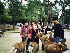 奈良公園で鹿と遊ぶ