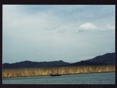 琵琶湖ですき焼き