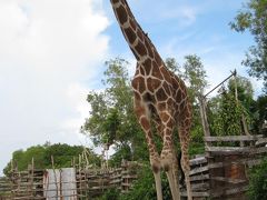 クラブパラダイス旅行記(3)　3日目