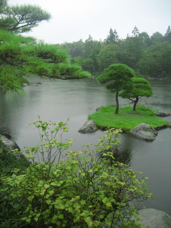昭和記念公園を再訪するなら、ぜひ日本庭園に行きたいと思いました。<br />初めて訪れた２年前は、気になりつつも、寄らずに帰ってしまったから。<br />なにより日本庭園というのは、アシメントリックで絵になる構図が得やすいから。<br /><br />日本庭園は、西立川口から１キロほど奥にあります。<br />当初は、往復とも歩こうと思いました。<br />歩いた方が、途中で撮影意欲をそそられる意外な発見も多いものです。<br /><br />しかし、11時に公園に着いて、サギソウの撮影が終わったのは12時45分。<br />それから、ふれあい広場に行って、ひまわりの撮影が終わったのは13時35分。<br />軽く軽食をとって14時。<br />サギソウとひまわりと日本庭園で14時か15時には終わるだろうと考えていたのに、思ったより時間がかかってしまいました。<br />時間ならあります。<br />公園の開園時間が今年2008年の春から試行的に延長され、19時となったので。<br />でも、歩いて往復する気がくじけてしまいました。<br /><br />ここらでサイクリングに切り替えることも考えました。<br />ただし、ひまわりの撮影の最中に小雨が降り始めました。<br />傘なしでもシャワーのように気持ちがよいとはいえ、この先、雨足が強くならないとも限りません。<br />ちょうどレストランを出たすぐ先に、園内バスが到着したので、片道だけ利用することにしました。<br />サイクリングにしなくてセーフでした。<br />日本庭園を見学している途中で、とうとう雨が本格的に降ってしまいましたから。<br /><br />途中で雨に降られたとはいえ、日本庭園散策は満足できました。<br />桜や花菖蒲の咲く頃や紅葉の季節はさぞかし見事でしょう。<br />しかし、初回は、緑の庭園で曇り空でも撮影は十分楽しめました。<br />日本庭園には盆栽苑があります。<br />盆栽展には特に興味はなかったのですが、通りがかったので寄ってみました。<br />なかなかいいものですね、盆栽。<br />私の趣味もだいぶ渋くなりました@<br /><br />今回の２年ぶりの昭和記念公園の旅行記の構成<br />□（1）サギソウ、再会！<br />□（2）撮りやすくてびっくりのひまわり<br />■（3）しっとりと日本庭園<br />□（4）雨に降られた帰り路