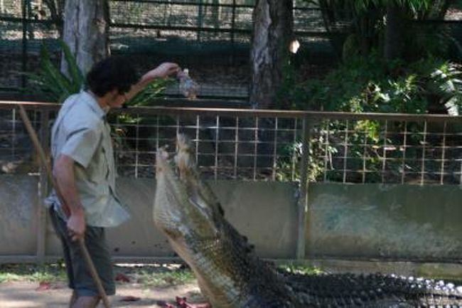 トロピカル動物園<br /><br />各セクションでイベントが有ります。<br />コアラを抱いて写真撮影。<br />カンガルーに餌を与えれます。<br />ワニとの会話、。。動物園担当者が餌を与えます。<br />大鷲がやってきます。等など...<br />