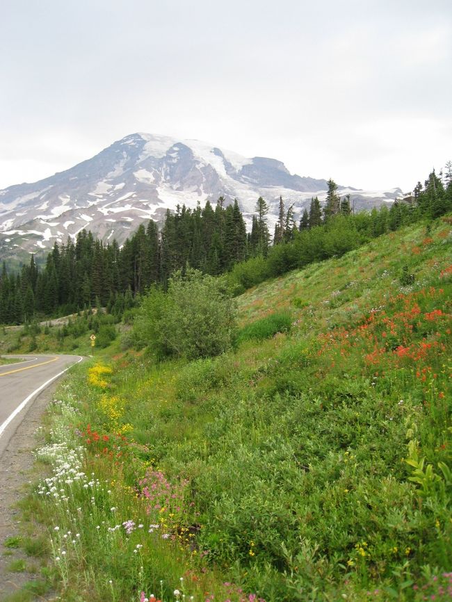 マウントレニエ国立公園・パラダイス<br /><br />いよいよ今日から Mt.Rainier をトレッキングします。天気予報では一日中雨、ときに雷雨が来るとのこと。雨は凌げるにしても雷はどうしようもないので、雷が鳴ったらトレッキングはあきらめ引き上げることにします。<br /><br />３日目：<br />- Henry M.Jackson Visitor Center<br />- Alta Vista Trail<br />- Paradise Inn<br />- Christine Falls<br />- Narada Falls<br />- Nisqually Vista Trail<br />- Jasmer&#39;s room and Cabins 宿泊