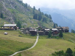 2008年スイス＆イタリアで夏休み～（２０）フーリからツェルマット、花いっぱいのハイキング