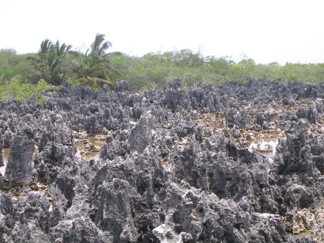 ケイマン諸島、グランドケイマン(Grand Cayman)は 透き通った美しい海が 有名だけれど、その島にある「地獄」に 行ってきた。<br /><br />「地獄」というのは 島の北部にある場所の名前。英語名 「HELL」日本語にすると「地獄」の意味。<br /><br />黒い石灰岩層(lime stone)が まるで 地獄みたいだから 名づけられたんだとか。<br /><br />郵便局があって、地獄(HELL)から 手紙が出せるようになっていた。ハガキに ちゃんと 地獄からの消印を押してもらえる。あたしも せっかくなので 両親に絵ハガキを。ちゃんと ヘルの意味を教えてあげる。<br /><br />石灰岩のあるエリアは そんなに広くないんだけど、それでも 微生物によって 穴だらけにされた 岩は なんとも 異様な光景だ。<br /><br />この小さな村は この名前のせいで すっかり有名になってしまったらしく、グランドケイマンの中でも 観光スポットのようだ。観光バスが とまったりしていたけれど、まわりは ごくごく のどかな村で、人も のんびりしていた。とても地獄の住人とは 思えないなぁ。<br /><br />