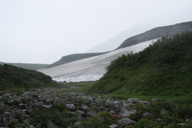 ８月１６日は６輪駆動車にてアヴァチャ火山のベースキャンプ地（標高約８００ｍ）を目指し、ここからアヴァチャ高原フラワーウォッチングをした。雨天の中、デジイチカメラが使えず壊れてもいいコンパクトカメラでの撮影だったのであまりいい写真が撮れなかったが花をメインに構成してみた。