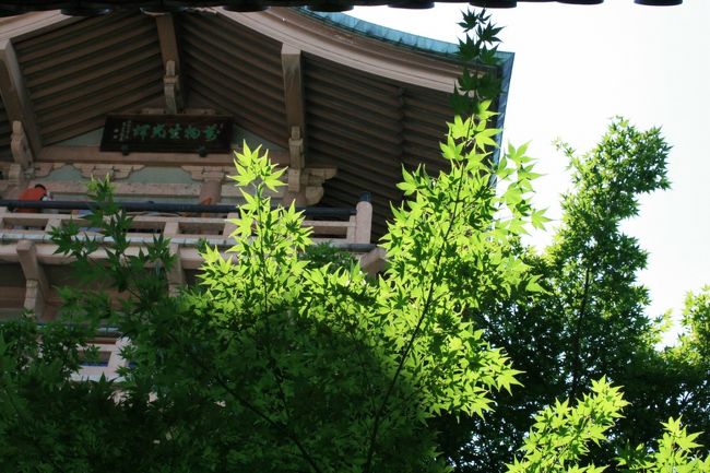 四条・八坂神社から五条・六道珍皇寺　までを歩きます。