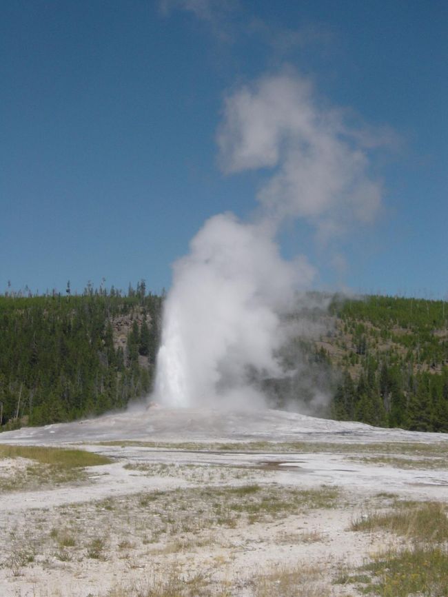 イエローストーンの南半分のツアーに参加しました。<br />http://www.yellowstonevacations.com/tours/buffalobustours.htm<br /><br /> 2日間のツアーで公園入場料と税金を含んで114ドルでした。良心的です。ロウアー・ループは人気で、通常は反時計回りに観光するそうですが、今回は足の悪い人がいて、8時15分の出発が1時間遅れたこともあり、オールド・フェイスフルでの間欠泉の時間にあわせて、時計回りで観光しました。<br /> そのため、まずギボン滝、キャニオン、ヘイデン・バレーでバッファローを見て、レイク・ホテル近くで昼食をし、オールドフェイスフルで間欠泉を見て、ビスケット・ベイスン、カイザーベイスンを観光しました。