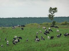 夏の北海道　［十勝］