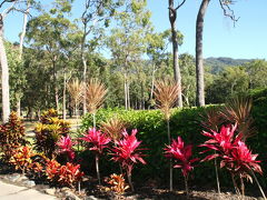 Cairns 14 No.6. Paradise Palms COUNTRY CLUB