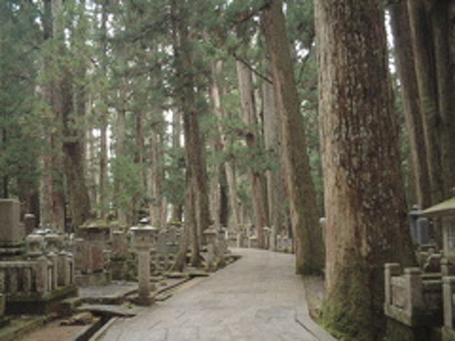 行ってみたかった高野山。<br />日本三大霊山の1つ。<br />雰囲気最高です。<br />宿坊にお泊まりして、朝のおつとめもしました。<br />