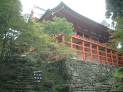 比叡山に登りました。<br />これで日本三大霊山全部行った事になります。<br /><br />山道ハイキングー!と思ったら。。。。大変だった。