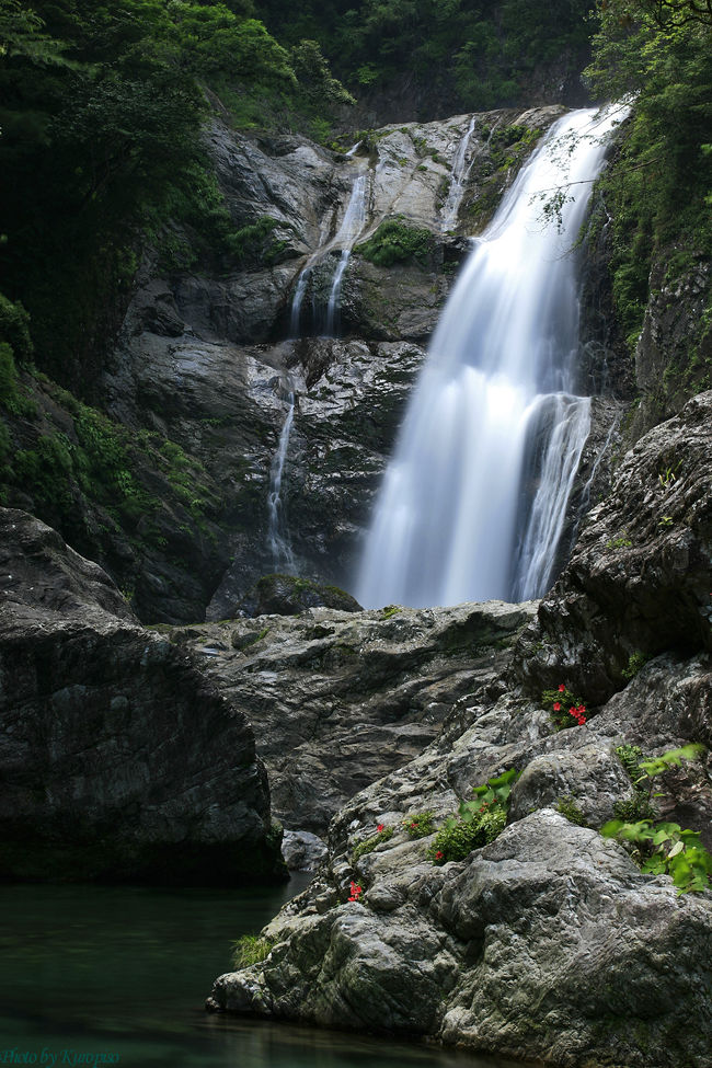 タイトルの通り、この滝は「日本の滝１００選」に<br />選ばれているとても壮大な滝です。<br /><br />奈良県の山間部、国道169号線の前鬼口から<br />前鬼宿坊へカーブが多く、おまけに落石が転がる<br />極狭の林道を進むこと６km。<br />道路脇の展望台（看板あり）から水量豊かな前鬼川から流れ出る落差100m、７段の段瀑、不動七重滝を見ることができます。<br /><br />更に展望台の７００ｍ手前、渓谷への下り口（看板あり）から、歩くこと１時間で滝近くの展望台へアクセスが可能。<br /><br />但し、過去に整備された吊橋が洪水により流されており、<br />歩いて河を渡る必要があります。<br />（天候の悪い時は危険）<br /><br />今回、「滝に魅せられて」コミュ　<br />管理人JOECOOLさん　<br />メンバーGOTHOCHANさんにお誘い頂いて、挑戦してきました。<br /><br /><br /><br />作成中でございます。