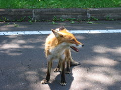 ☆北海道　周遊☆