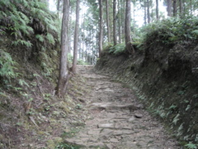 行ってみたかった熊野古道。<br />東京からだとちょっと遠いかな。。。なんて思ったけど<br />夜行バスを使えば案外簡単に行けるもんだ!<br /><br />ルートはこんな感じ。<br /><br />東京(夜行バス)→新宮<br />本宮大社でお参り→バスで発心門王子まで行き、約7キロの古道歩き<br />湯の峰温泉で1泊<br /><br />湯の峰温泉から熊野川舟下りで速玉大社<br />そこからバスで那智大社<br />勝浦温泉で1泊<br /><br />勝浦温泉から電車で伊勢神宮<br />そこから名古屋に出る<br />で、夜行バスで東京へ帰る<br />