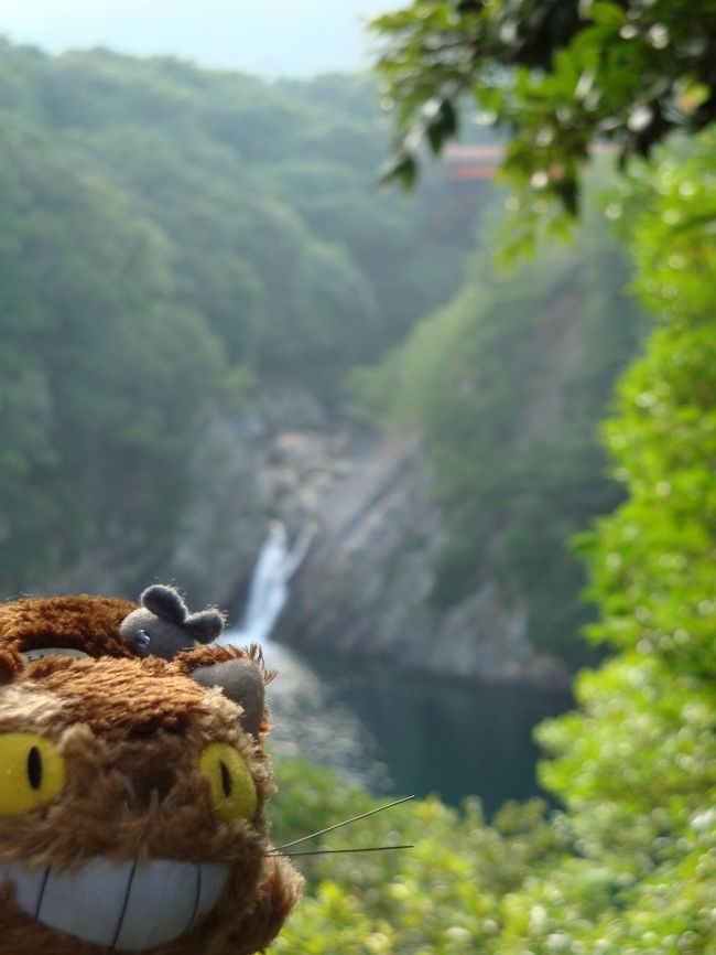 屋久島一周ドライブ後半。<br /><br />・ガジュマル、トローキの滝を見物。<br />・屋久島ご神山祭り2008。<br />・終わらない宴<br />・カメノテを食べる！