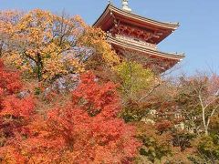 【No.9】 秋の京都の紅葉を求めて